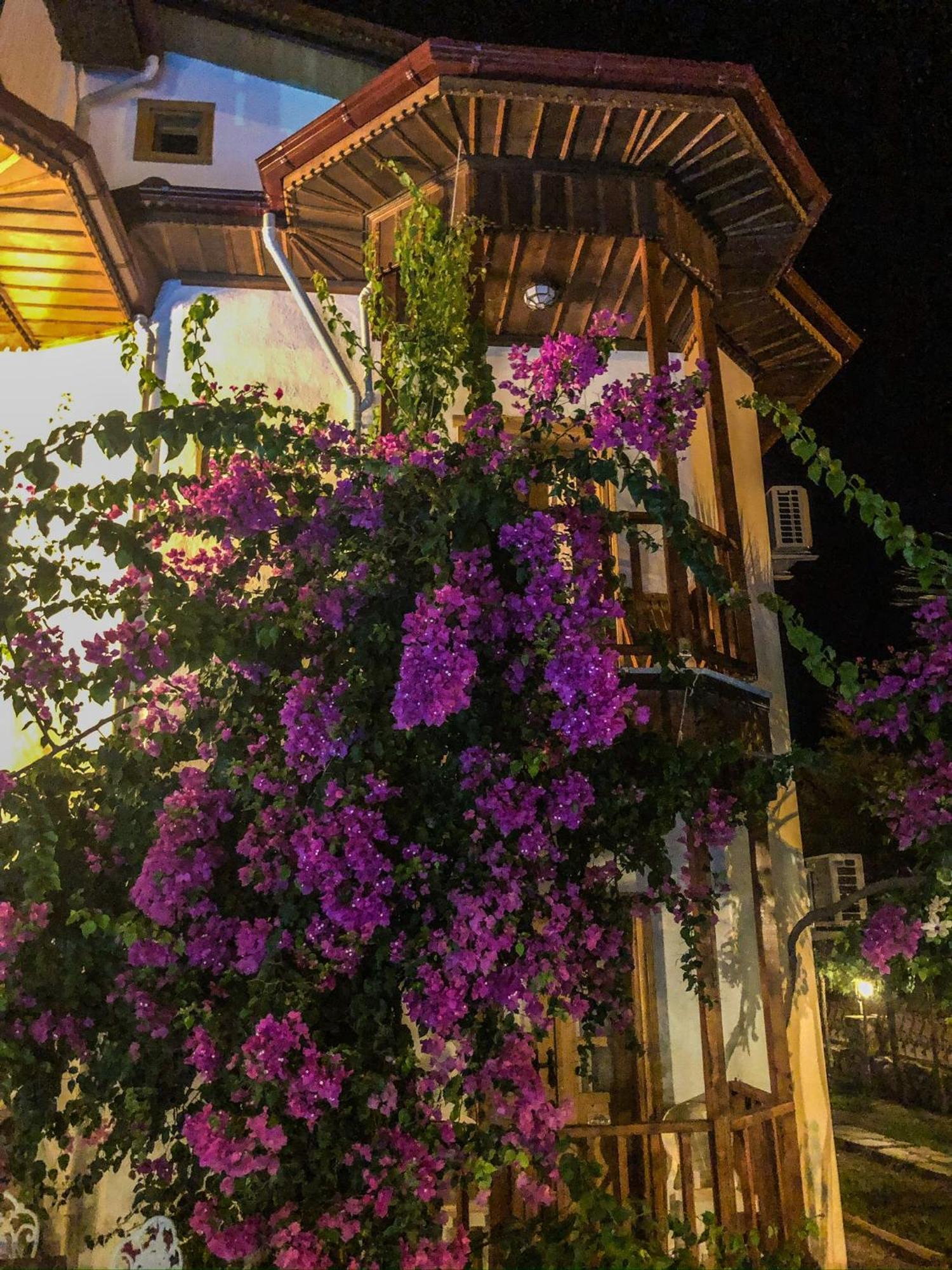 Murat Pasha Mansion (Adults Only) Dalyan Exteriör bild